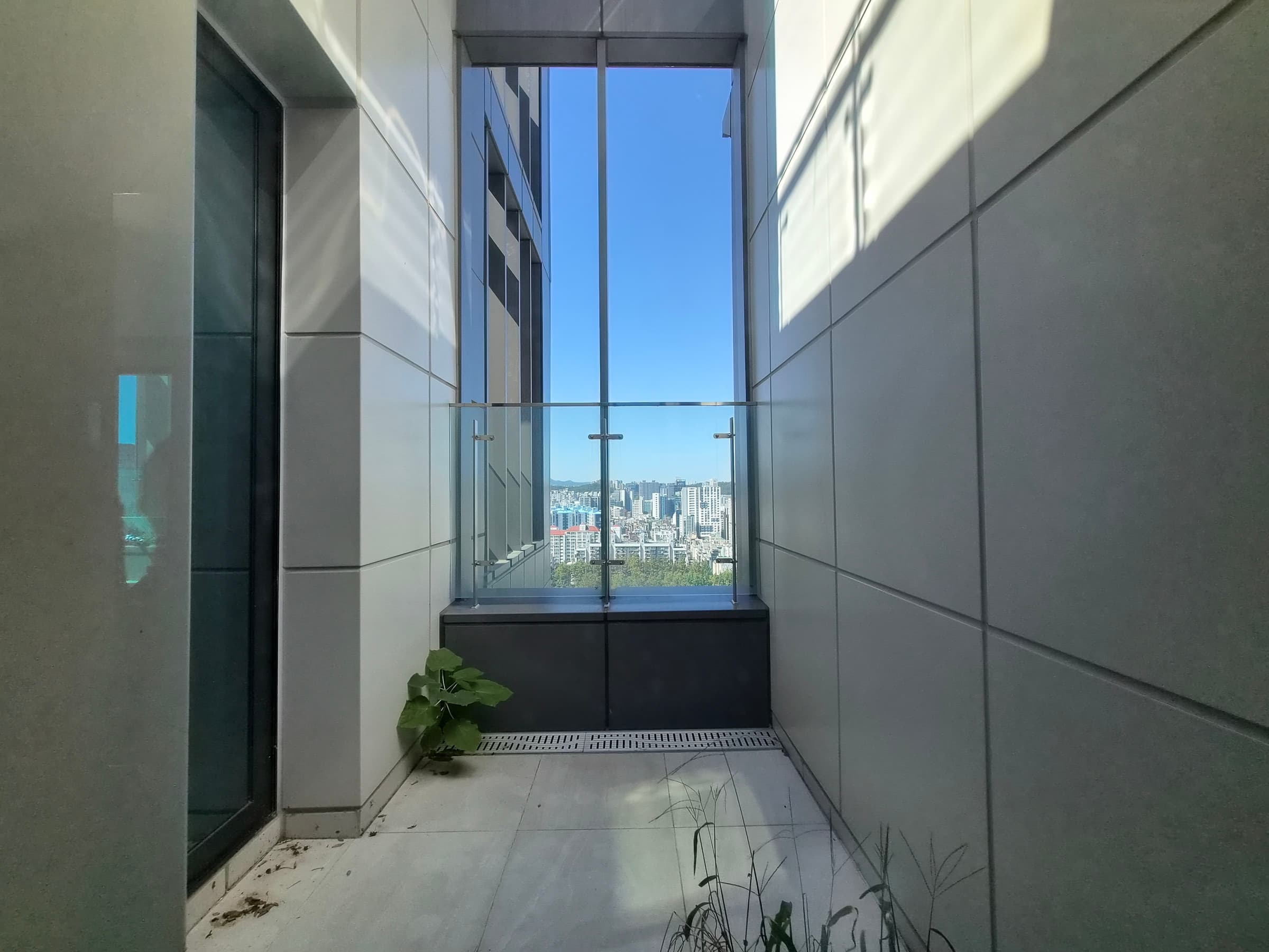 르피에드 인 강남 사진 8