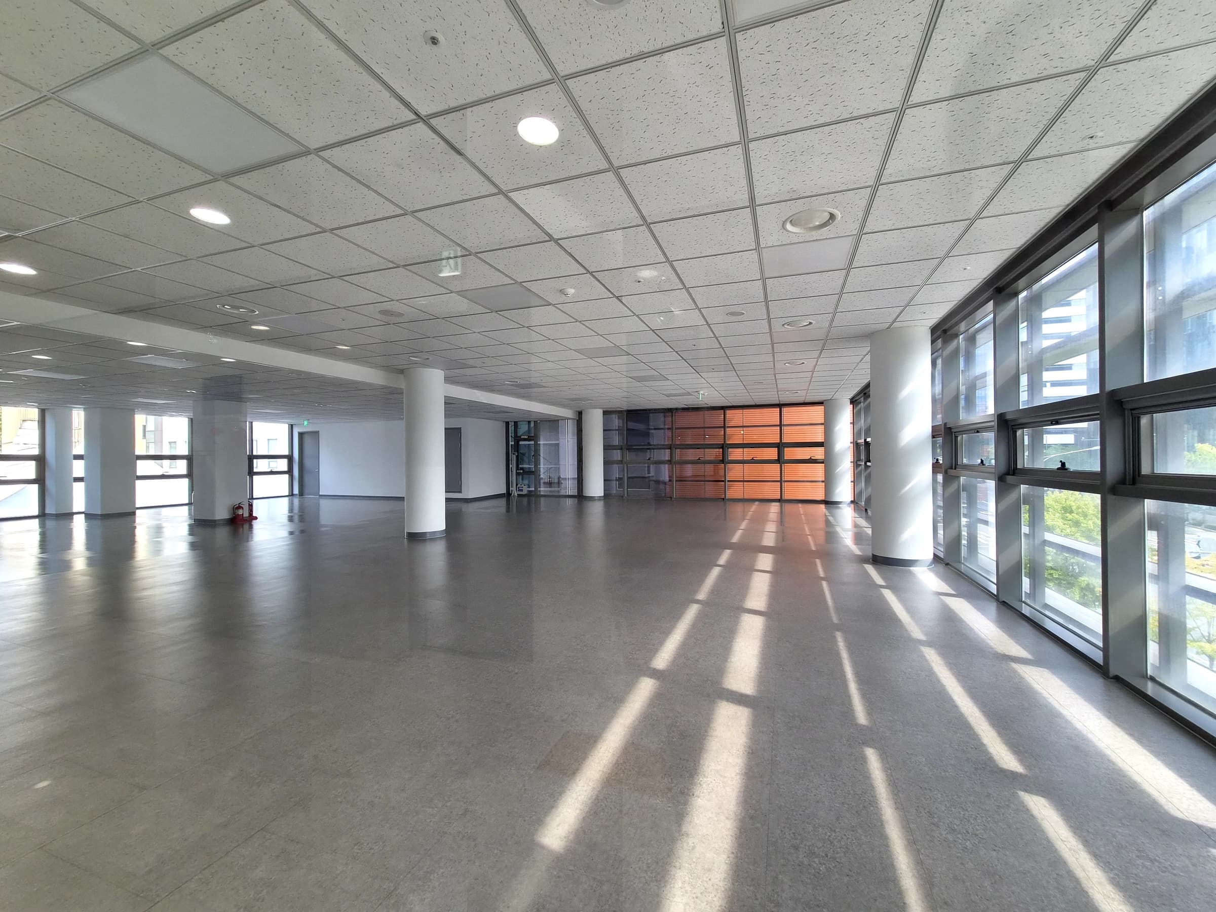 고려대학교의료원 사진 6