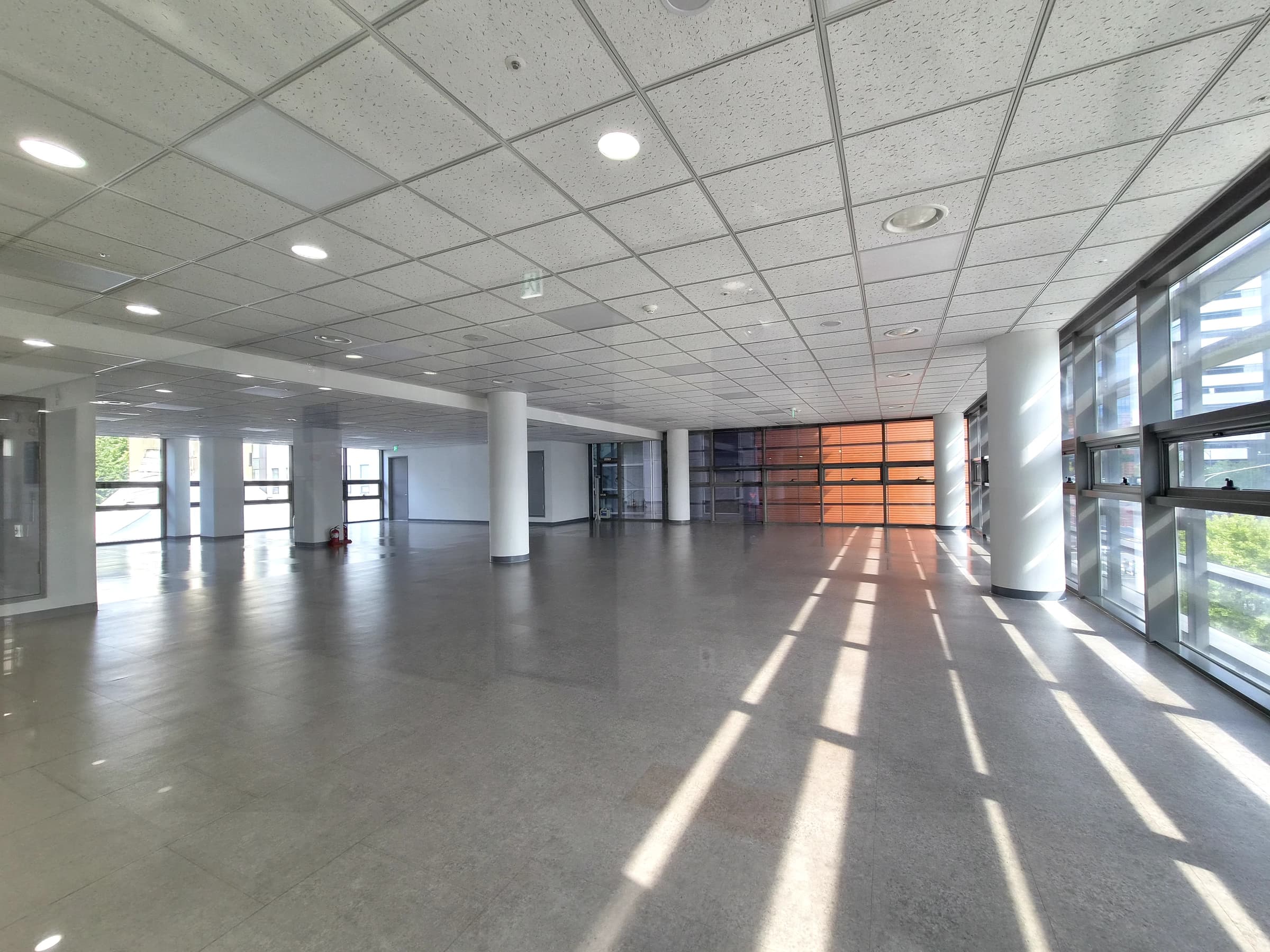 고려대학교의료원 사진 7