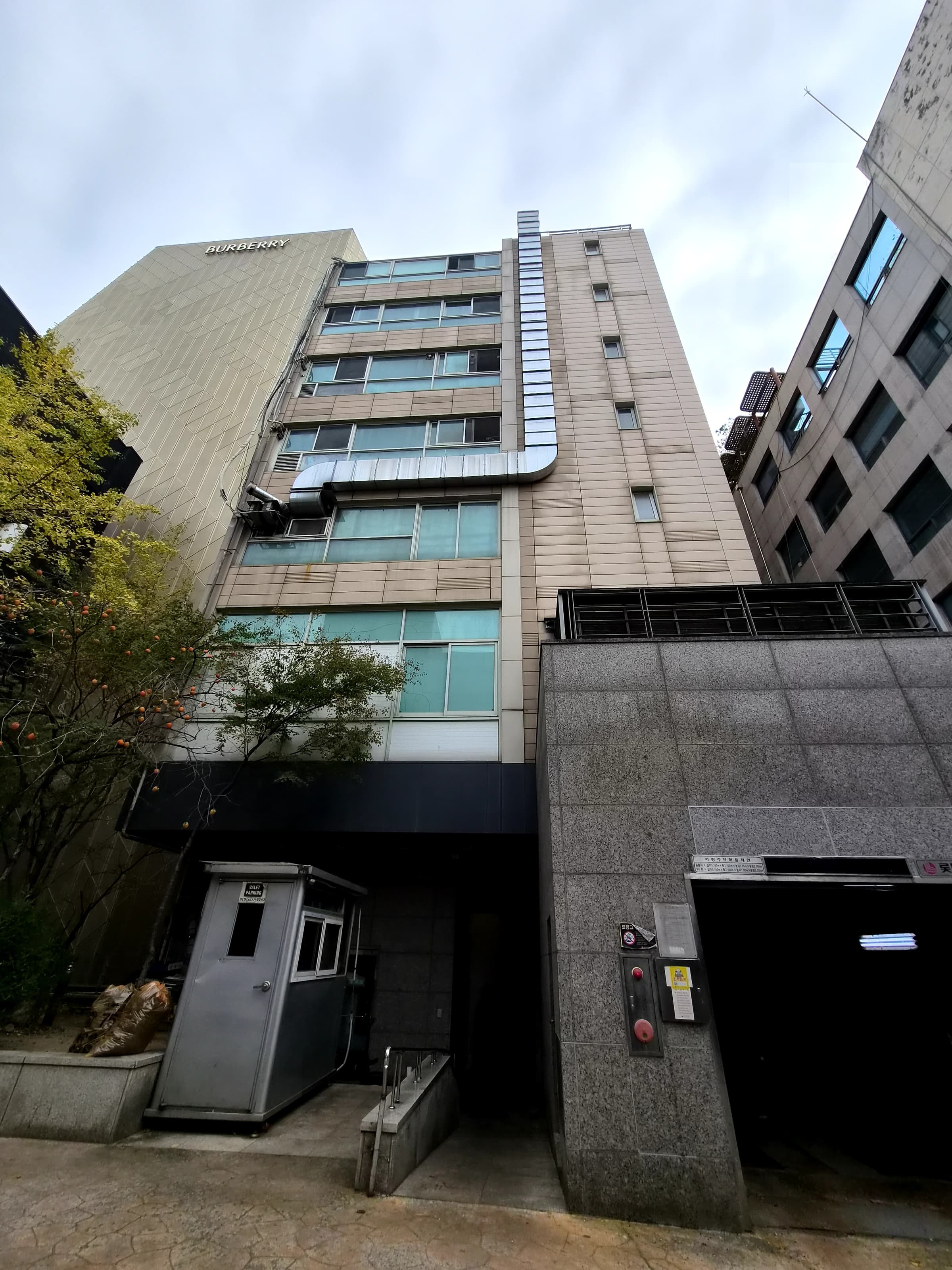 ANS 안윤정 사진 7